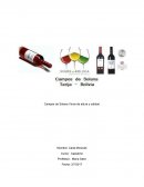 Campos de Solana Vinos de altura y calidad Nombre: Carla Moravek