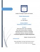 Downsizing y Redes de Trabajo.