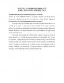 PRACTICA N°1. BOMBA RECIPROCANTE BOMBA TIPO PISTÓN ARMFIELD FM-23