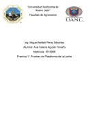 Practica 1⁰ Pruebas de Plataforma de la Leche