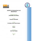 Ensayo del desarrollo sostenible