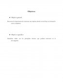 Proyecto de investigación.