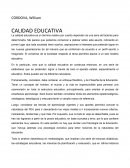 En lo particular, creo que la calidad educativa se construye entonces, en una serie de estándares que se pretenden lograr a través de todo el aparato estatal, especialmente el educativo. Estos pueden ser de diferente naturaleza: