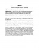 Objetivo: Que el alumno realice la técnica de diluciones seriadas y el método de siembra cuenta en placa, utilizando como muestra agua de botellón.