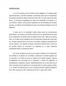 Materia organica edáfica