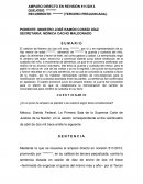 Guarda y custodia en el estado de mexico (incidente).