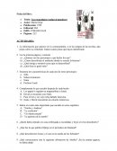 Los escarabajos vuelan al atardecer