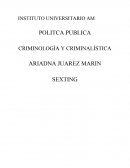 POLITCA PUBLICA CRIMINOLOGÍA Y CRIMINALÍSTICA