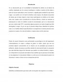 Entrevista Psicologia. Cree que es importante abordar el tema de género?