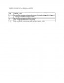 Las semillas comenzaron a humedecerse por el contacto del algodón y el agua