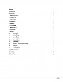 Relación de la Economía con otras ciencias y disciplinas.