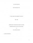 PLAN DE NEGOCIOS FRUTIYOGURES LTDA.