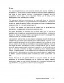 Ensayo de la pelicula el oso.