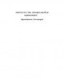 Elementos de la Tabla Periódica grupo VIIA y VIIIA
