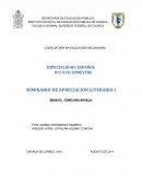 Ensayo como una novela.