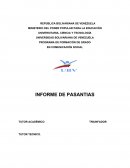 Análisis Individual por Partes de los Pasantes