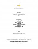 Diagnóstico y Análisis organizacional Taller 6