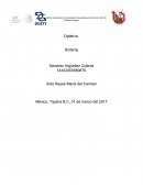 Bullying ,el desarrollo de agresividad hacia otros compañeros