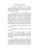 Un destino huracanado