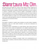 Ensayo De Prevención de Accidentes