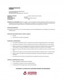 Reporte vídeo creatividad.