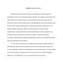 Análisis de caso Jet Airways,deciciones de Naresh Goyal