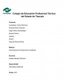 Administración de desarrollo de software