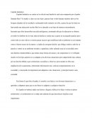 Capitán fantástico.