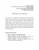 IMPORTANCIA DE LAS PROTEINAS,clasificación