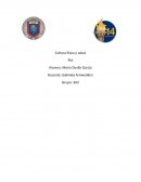 Cultura física y salud PIA