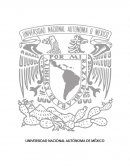 Prácticas de almacén.