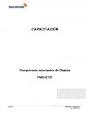 Componente autorizador de objetos SEGRAUTOBJ