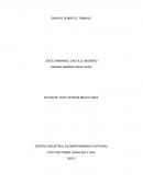 ENSAYO SOBRE EL TRABAJO