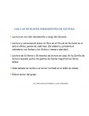 Lectura en voz alta diariamente a cargo del docente.