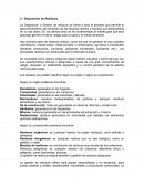 Practica 4 Gases Quimica