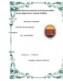 Actividades antropogenicas que conducen a la extincion de las especies