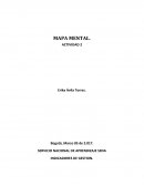 MAPA MENTAL DE EFICIENCIA, EFICACIA, EFECTIVIDAD, PRODUCTIVIDAD Y CALIDAD