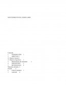 Conocer la importancia del mantenimiento del subsolador.