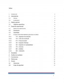 Ensayos de identidad (Métodos generales de análisis)