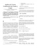 Análisis de Textos, Codificación de Fuente y Canal