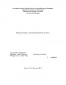 Universidad Nacional Abierta Dirección de Investigaciones y Postgrado Maestría en Ciencias de la Educación