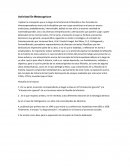 Actividad de metacognicion. Filosofía de la historia