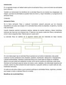 En el siguiente ensayo se hablará sobre qué es la activación física y como se dividen las actividades que la abarcan