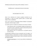 EPIDEMIOLOGIA RELACIÓN CAUSAL ENTRE VARIABLE Y EFECTO. EPIDEMIOLOGIA Y CAUSALIDAD EN SALUD OCUPACIONA