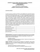 Establecimiento de un marco para la evaluacion.