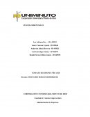 Administracion Caso Minka Toma de decisiones