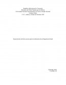 Informe tecnico diagrama de gantt.