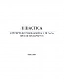 Didactica(Programacion).