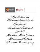 Señale los principales aspectos que debe contener el marco de un proyecto 6s.