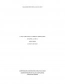 ANALISIS SENTENCIA SL13653-2015